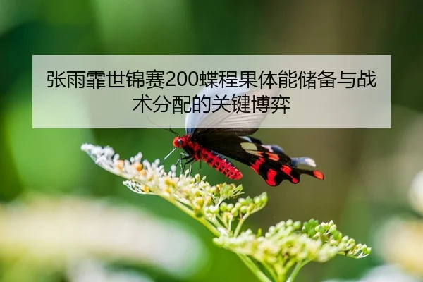 张雨霏世锦赛200蝶程果体能储备与战术分配的关键博弈